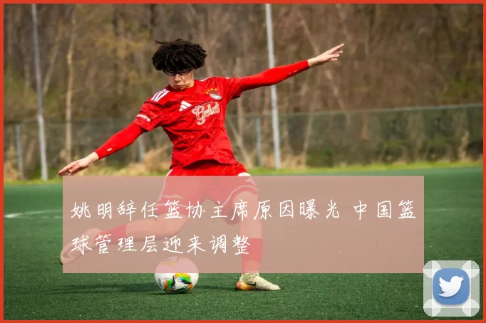 姚明辞任篮协主席原因曝光 中国篮球管理层迎来调整