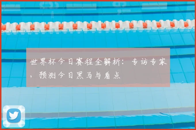 世界杯今日赛程全解析：专访专家，预测今日黑马与看点
